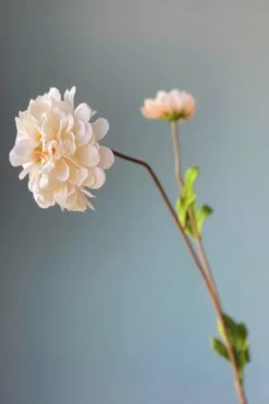 Pip Studio Kunstbloemen<Pip Kunstbloemen Vanilla Bloom